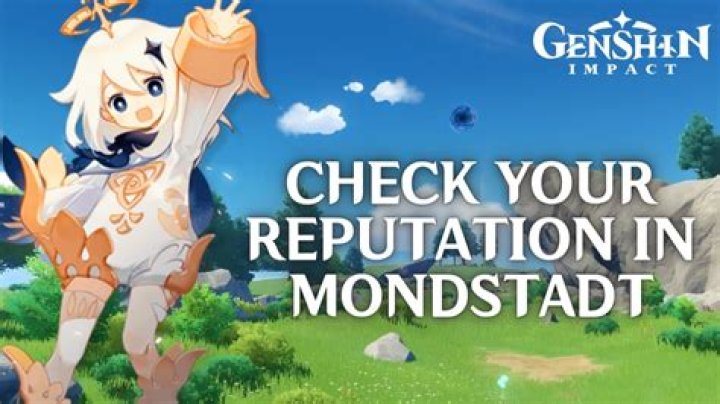 How do you check your reputation in genshin impact