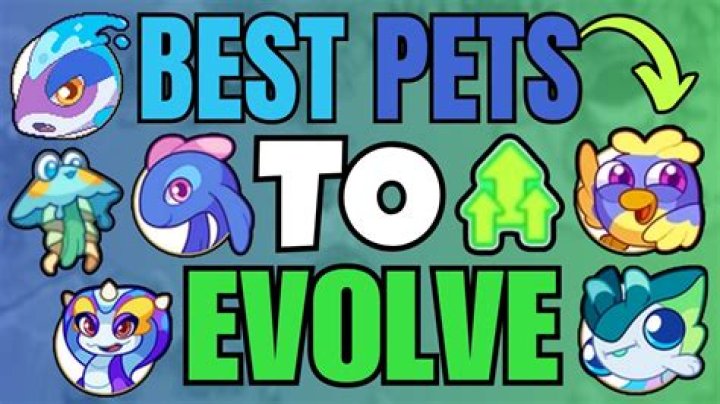 How do you get pets in genshin impact