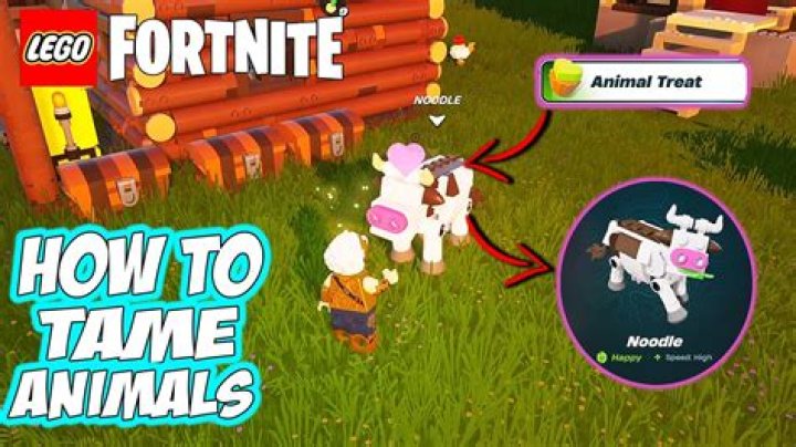How do you tame animals in fortnite