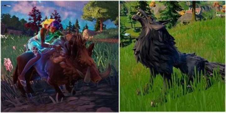 How do you tame wildlife in fortnite