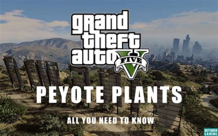 How many levels in gta 5
