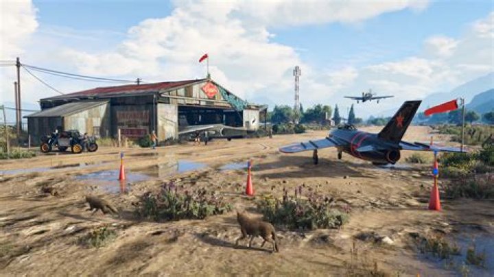 How many planes can fit in a hangar gta 5
