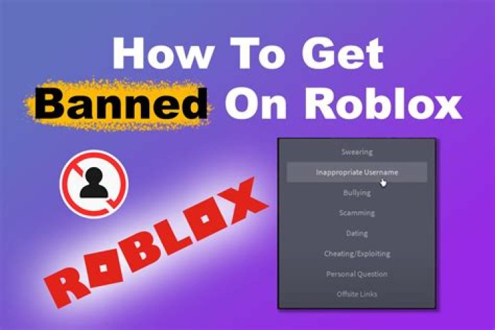How many times can you get banned on roblox