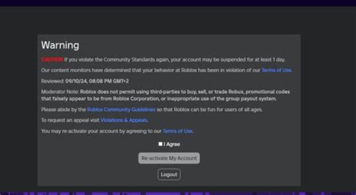How many warnings until you get banned on roblox 2020