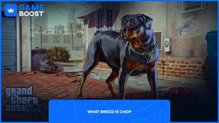 How old is chop gta 5