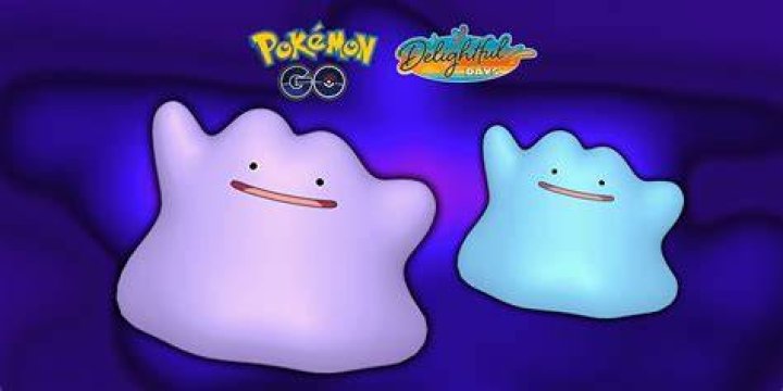 How rare is shiny ditto pokemon go