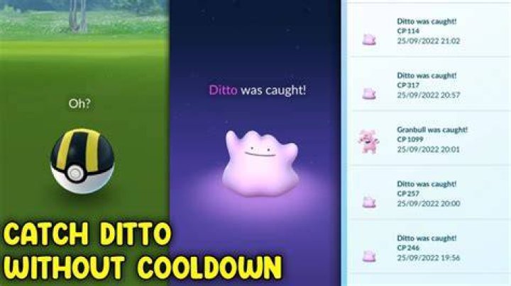 How to attract a ditto in pokemon go