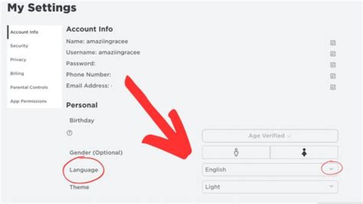 How to change language on roblox