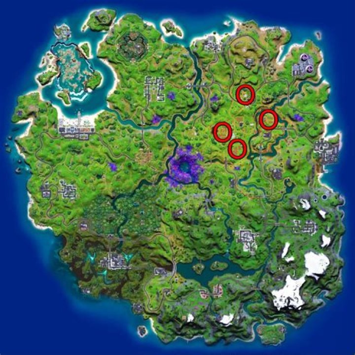 How to collect foraged items in fortnite