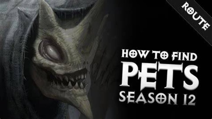 How to find pets in diablo 3