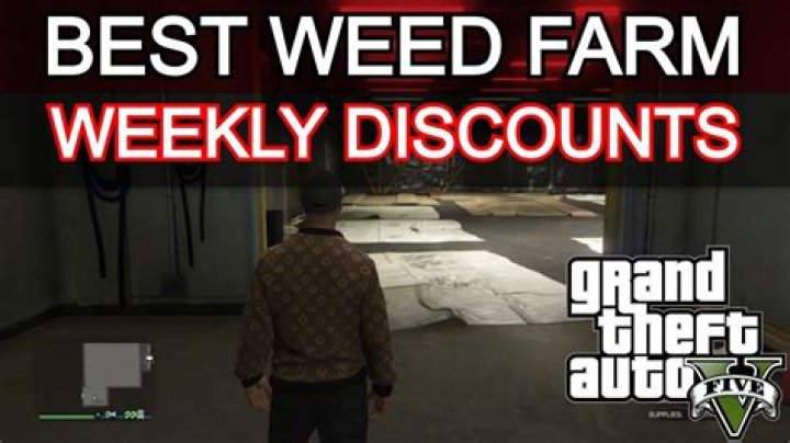 How to get a weed farm in gta