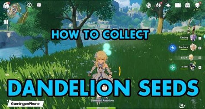 How to get dandelion genshin impact