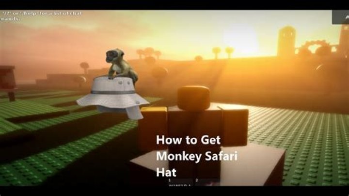 How to get monkey safari hat roblox