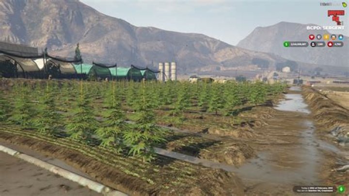 How to get product in weed farm gta 5