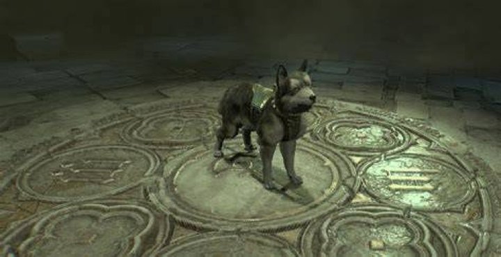 How to get the cow pet in diablo 3