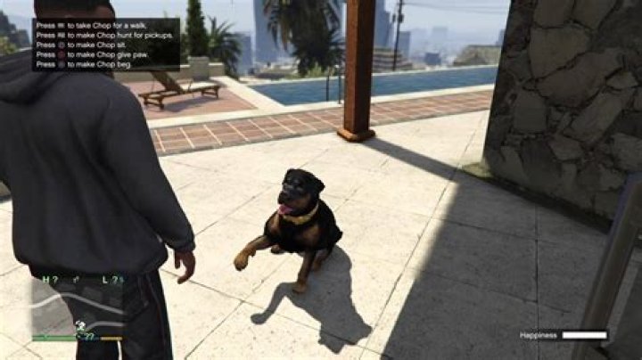 How to make chop happy in gta 5