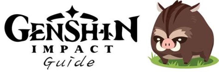 How to make genshin impact less laggy on pc