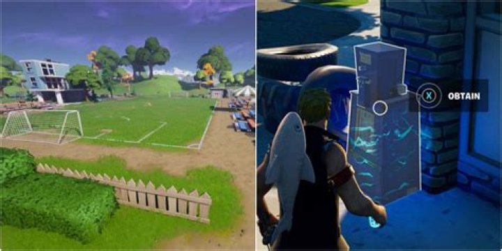 How to obtain literature samples fortnite