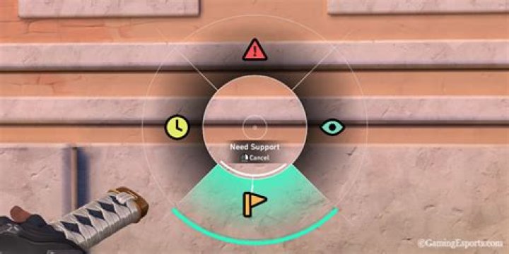 How to ping in valorant