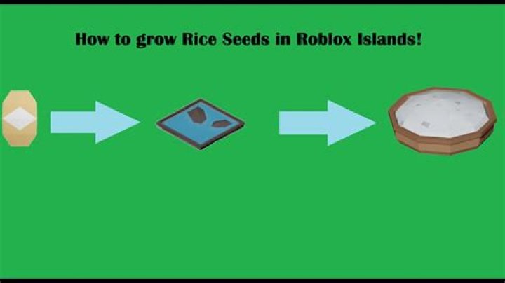 How to plant rice in islands roblox
