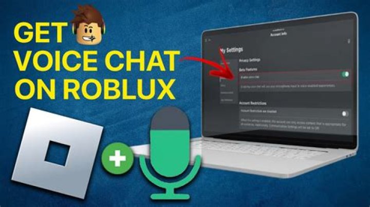 How to put voice chat on roblox