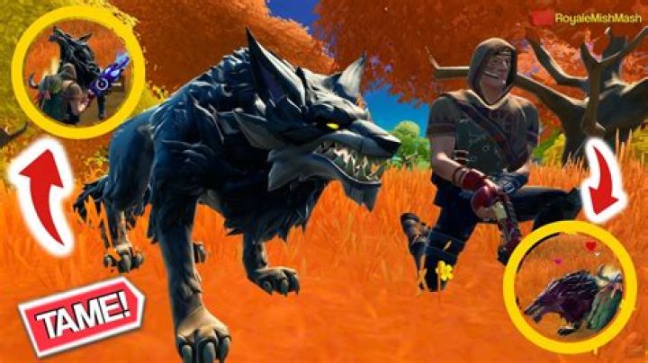 How to tame wolf in fortnite