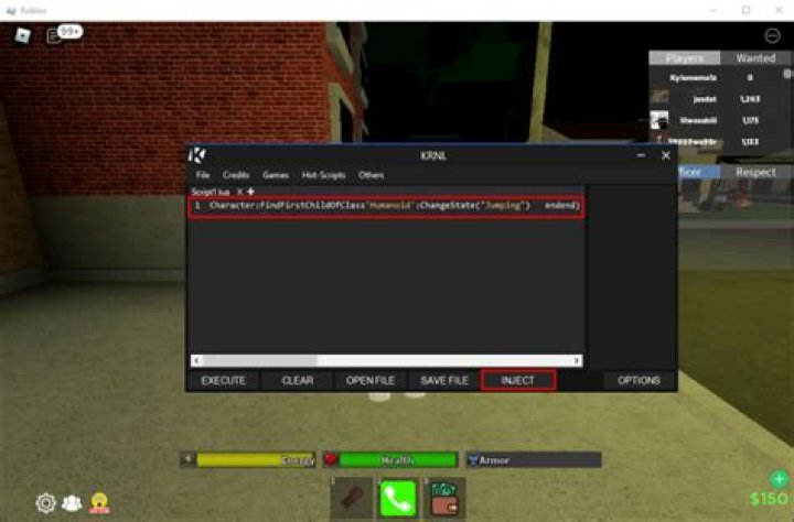 How to use roblox scripts