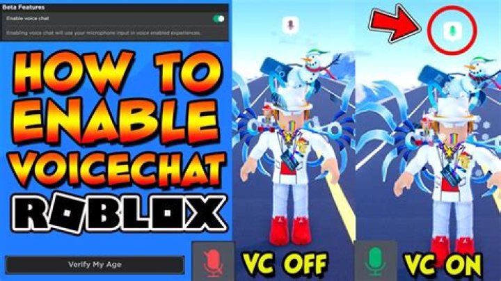How to use vc in roblox