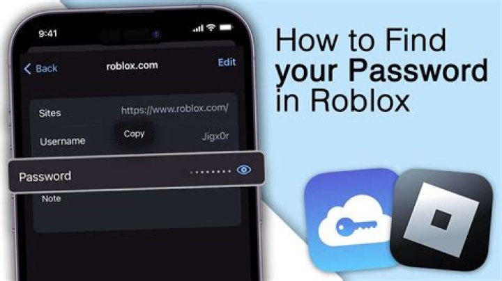 Roblox how to get someones password