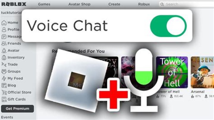 Roblox how to get voice chat