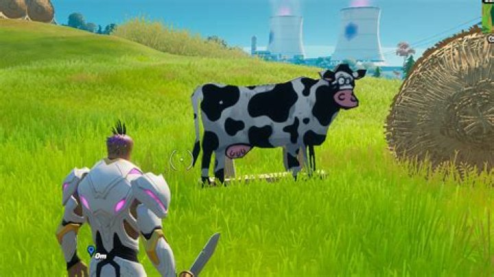 What are cow decoys in fortnite