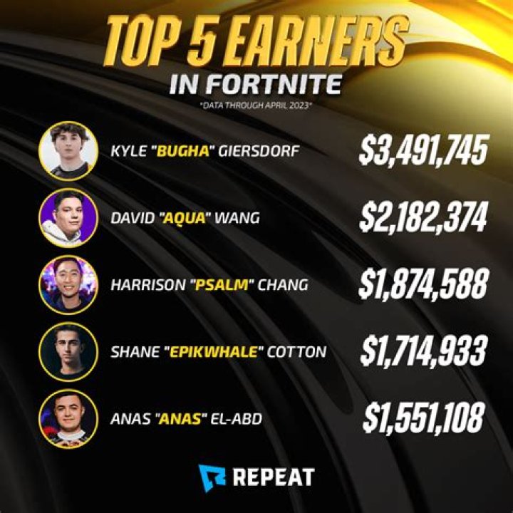 What are earnings in fortnite