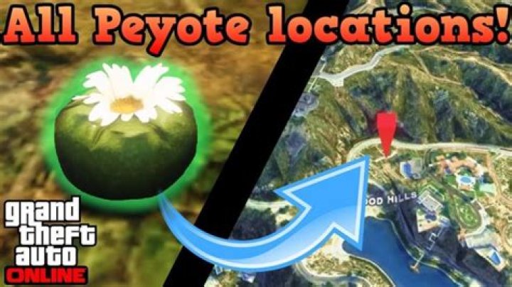 What are peyote plants gta