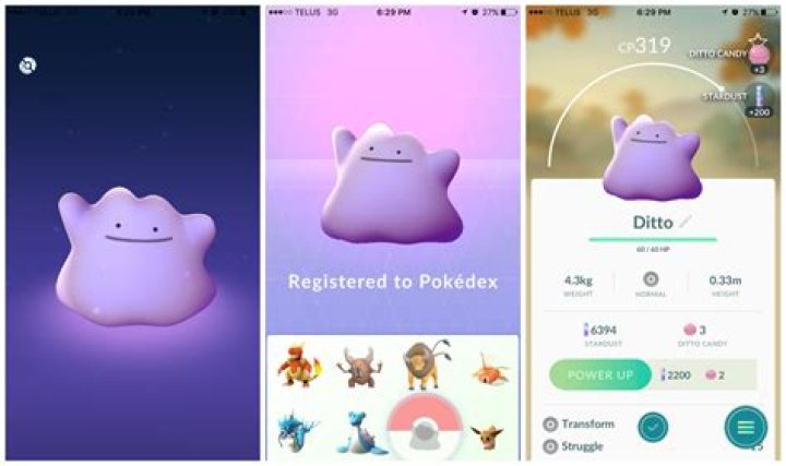 What can be a ditto pokemon go