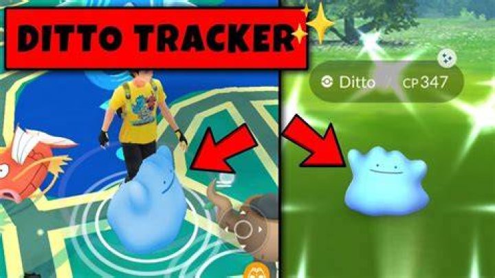 What can ditto hide as in pokemon go