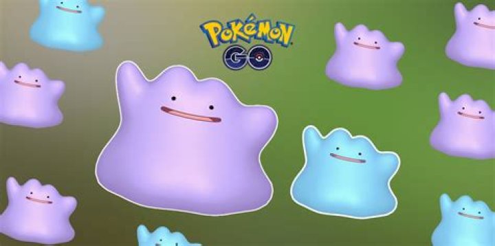 What do dittos look like in pokemon go