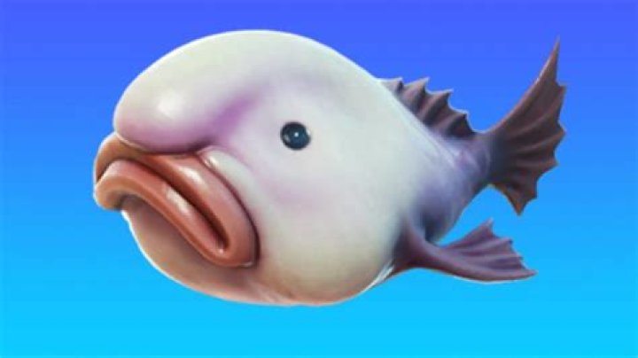 What do stink fish do in fortnite