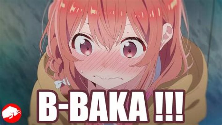 What does baka mean in roblox
