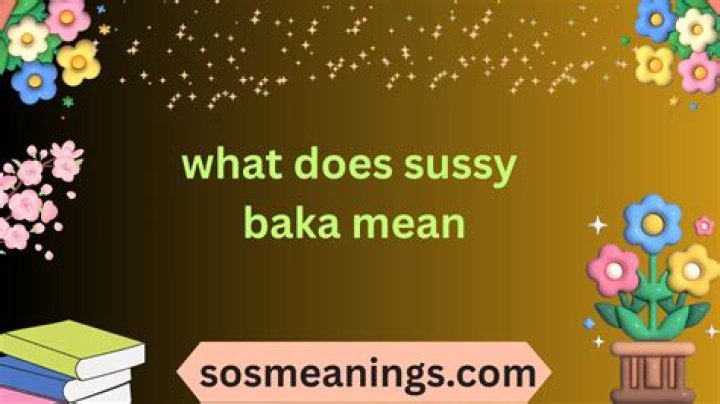 What does sussy baka mean in roblox