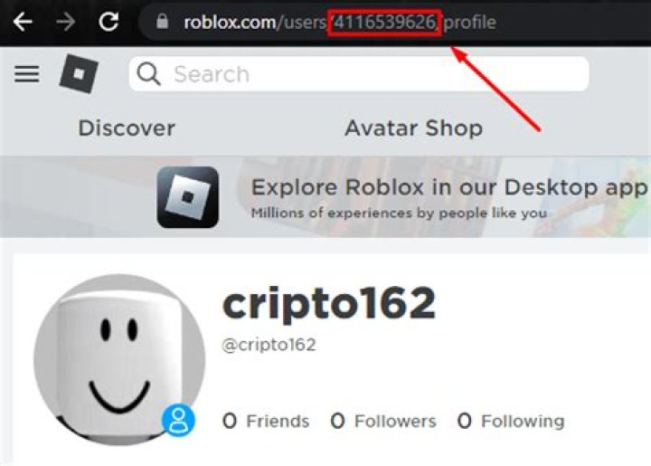 What is a rl player id in roblox