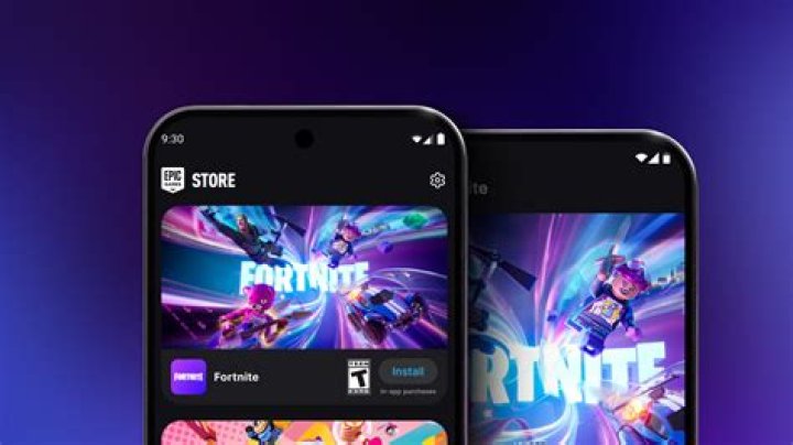 What is fortnite game