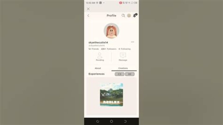 What is mackenzie turner roblox username
