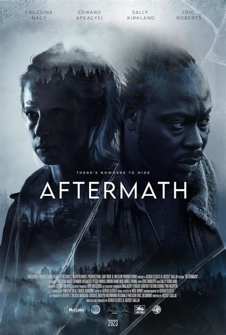 What is the aftermath in fortnite