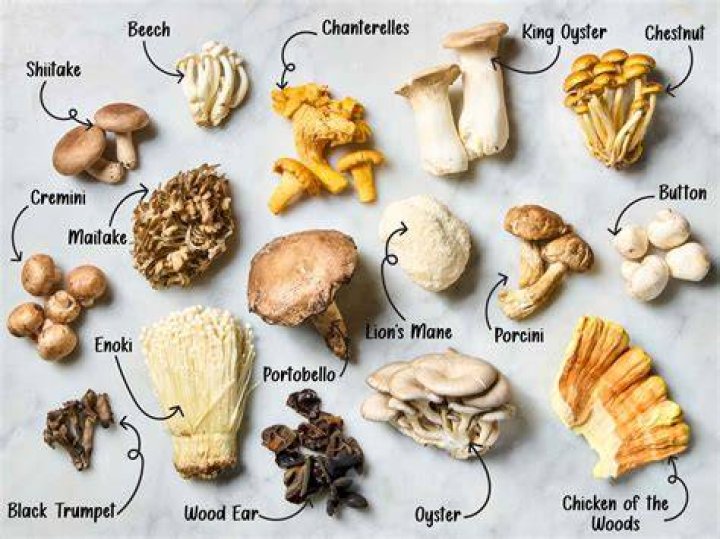 What is the black mushroom for in diablo 3