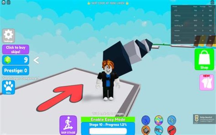 What is the official programming language used in roblox