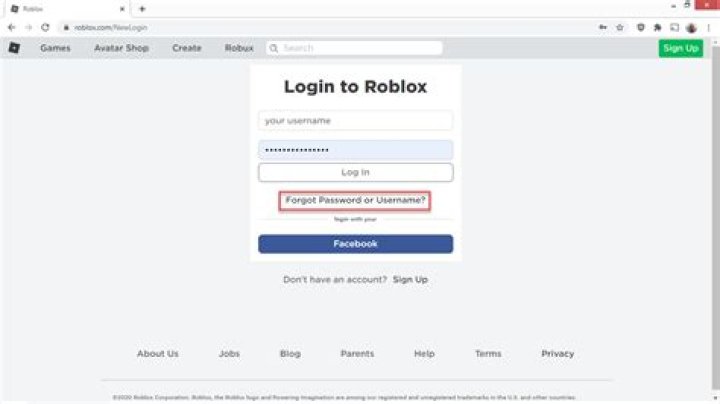 What is the password for roblox