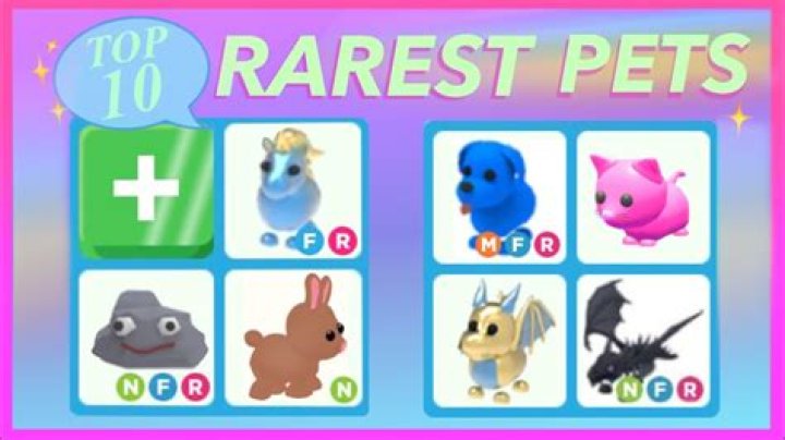 What is the rarest pet in adopt me roblox