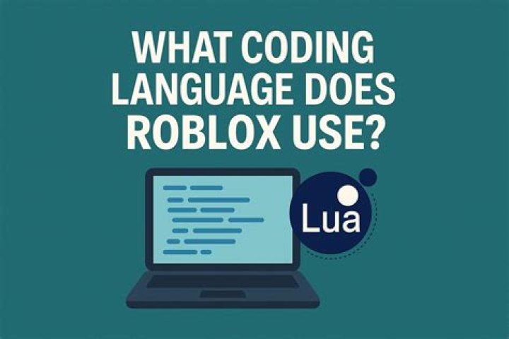 What language does roblox use
