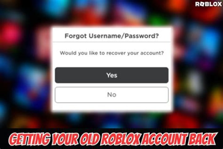 What was the first roblox account