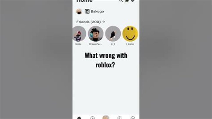 What wrong with roblox